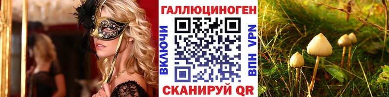 Галлюциногенные грибы Psilocybine cubensis  МЕГА как войти  Далматово 